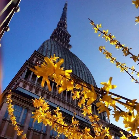 Alpi 3* Torino
