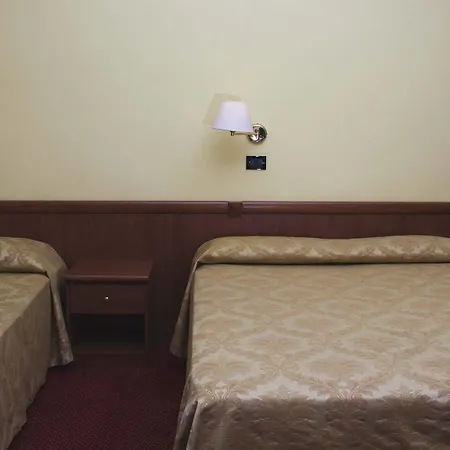 Hotel Alpi 3*