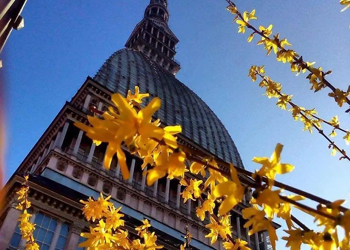 Alpi 3* Turin